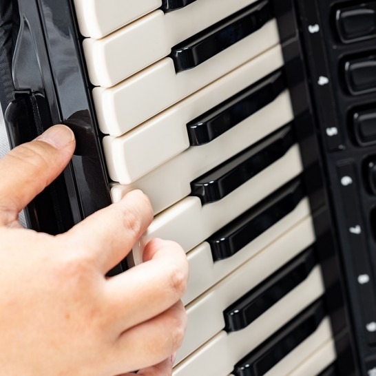 Teclado de tipo piano del acordeón Korg FISA SUPREMA