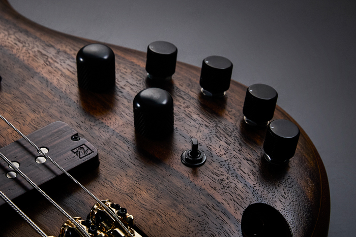 Ecualizador Ibanez Custom Electronics