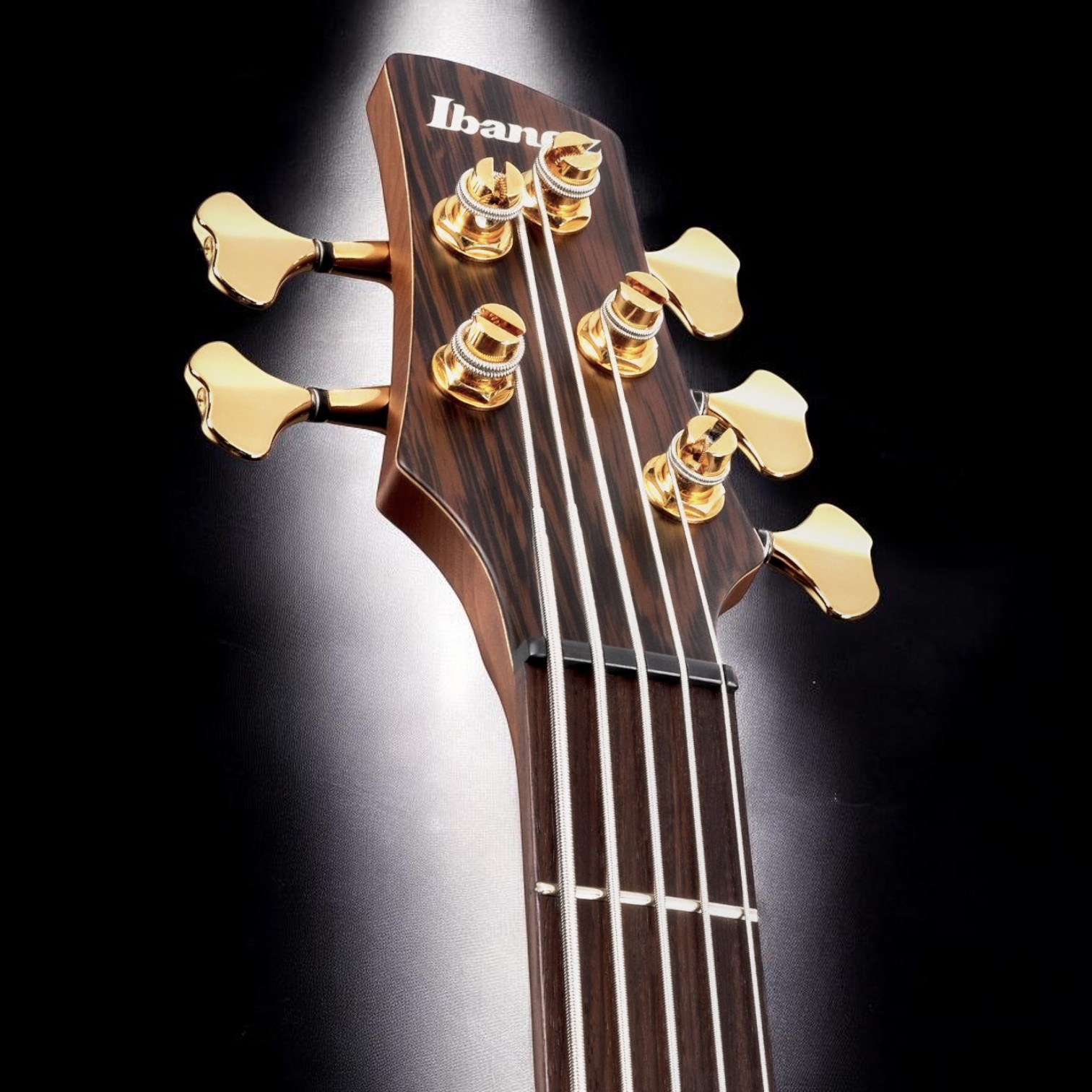 Ecualizador Ibanez Custom Electronics