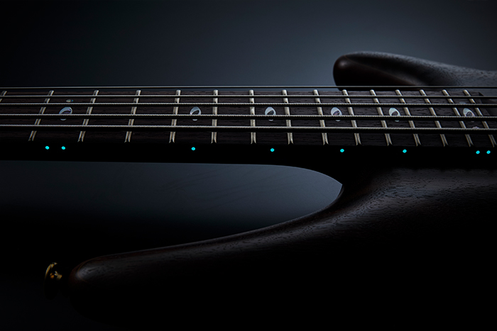 Inlay Incrustación de Rosa Ibanez Prestige