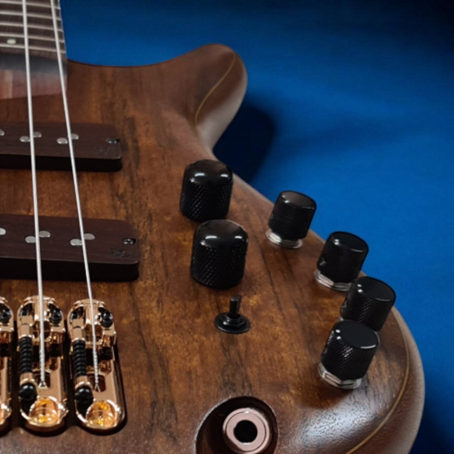 Electrónica y Controles Ibanez SR5506