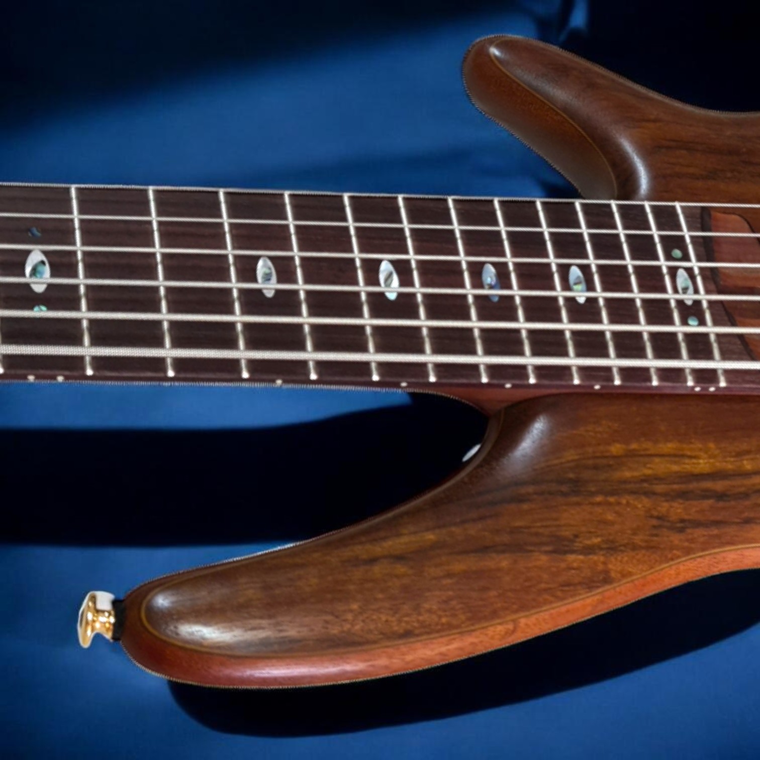 Trastes Prestige Edge Treatment Ibanez SR5506