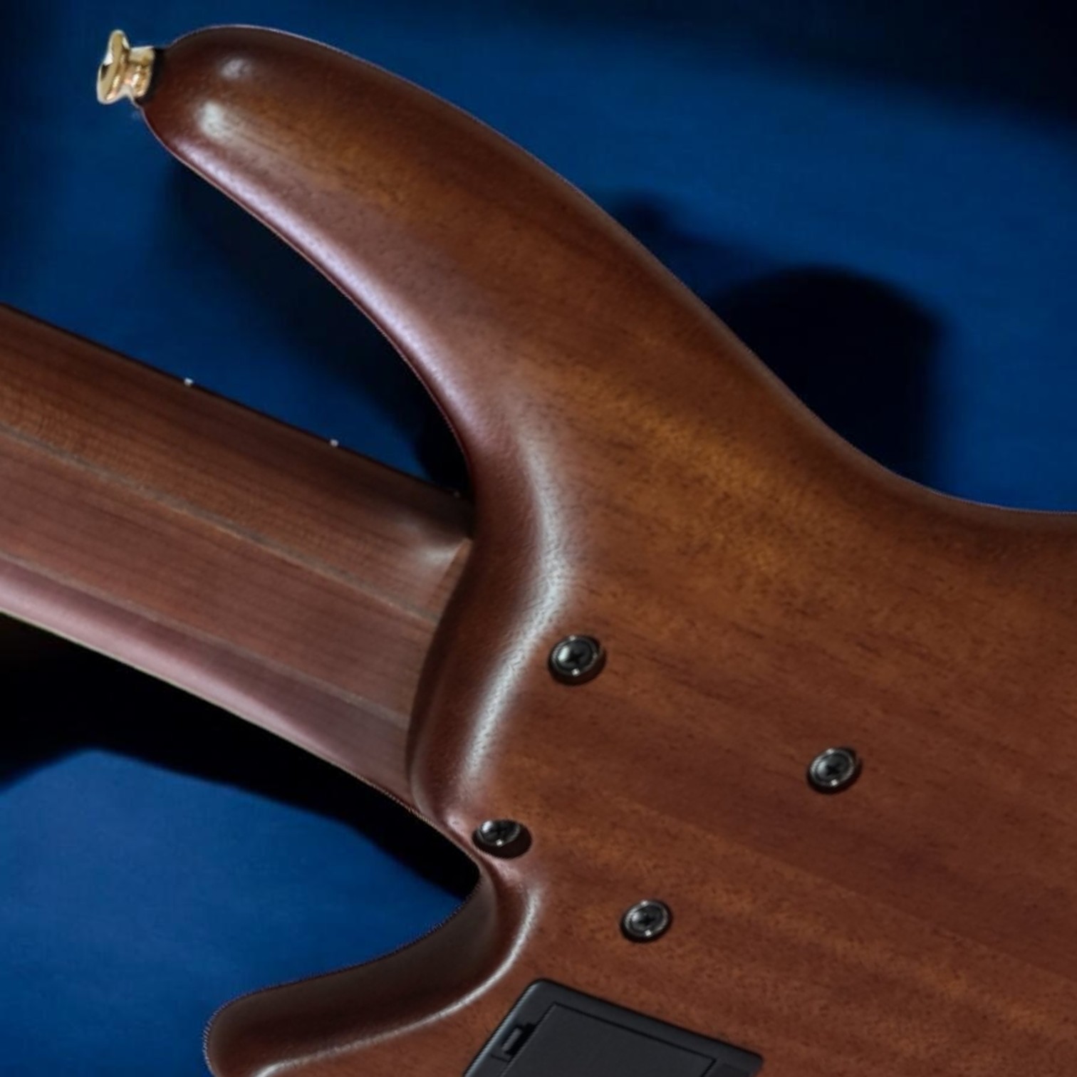 Mástil Atlas 5 Piezas Ibanez SR5506