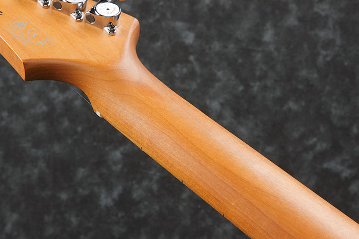 Mástil Oval C S-TECH WOOD Ibanez AZ2402