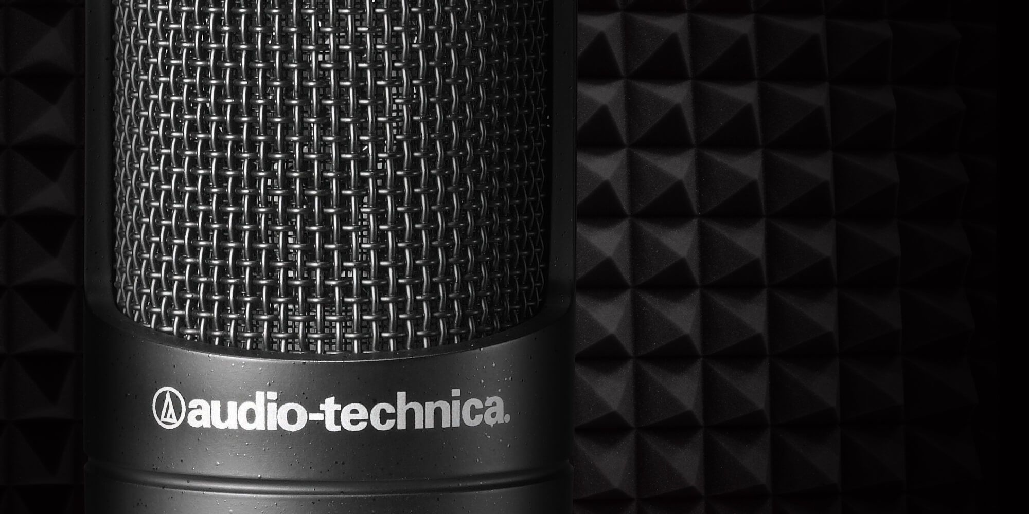 Audio-Technica AT2035 Controles Traseros
