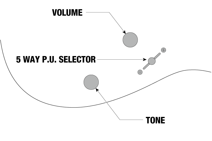 Controles de Volumen y Tono