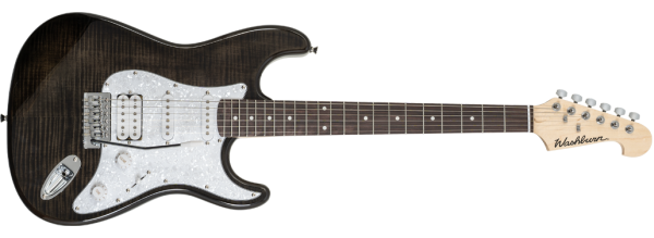 Washburn Sonamaster Deluxe Vista Principal