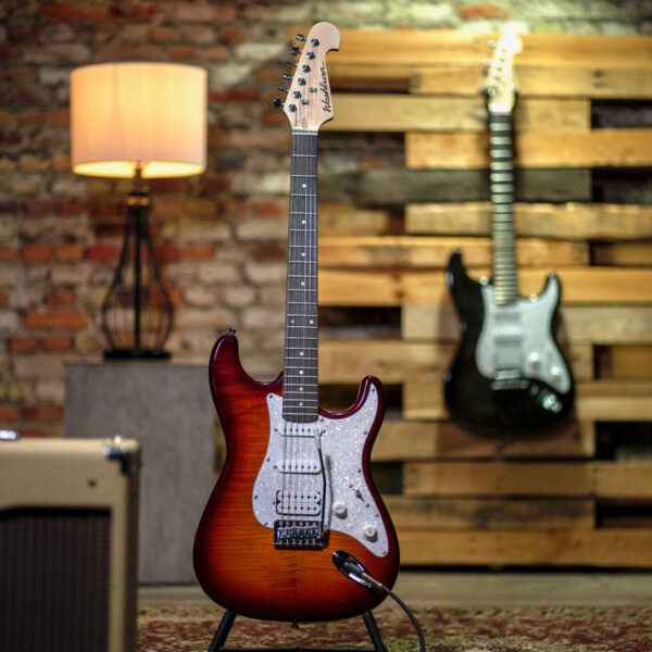 Washburn Sonamaster Deluxe Vista Principal