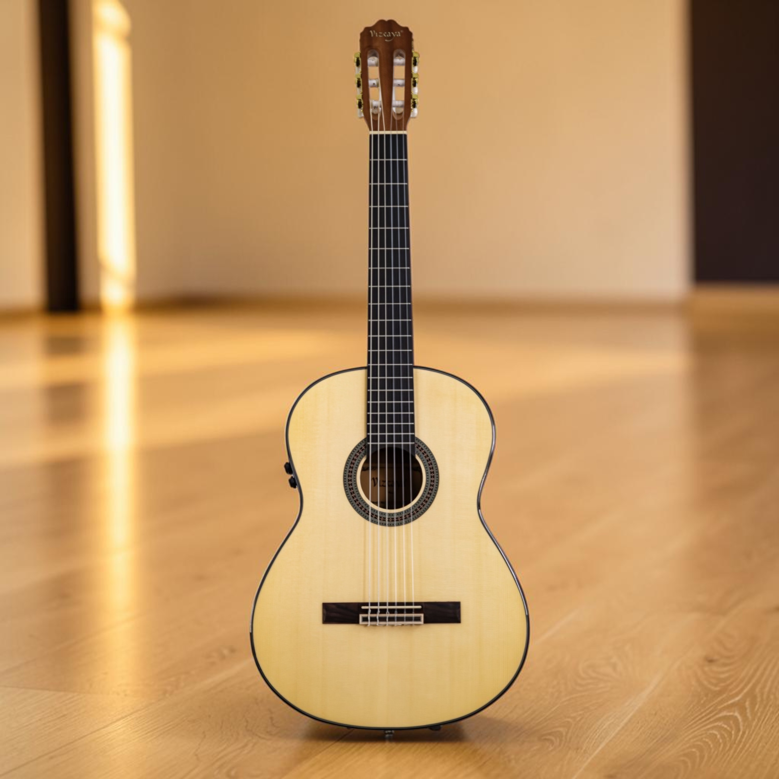Guitarra Vizcaya Arrieta EQ