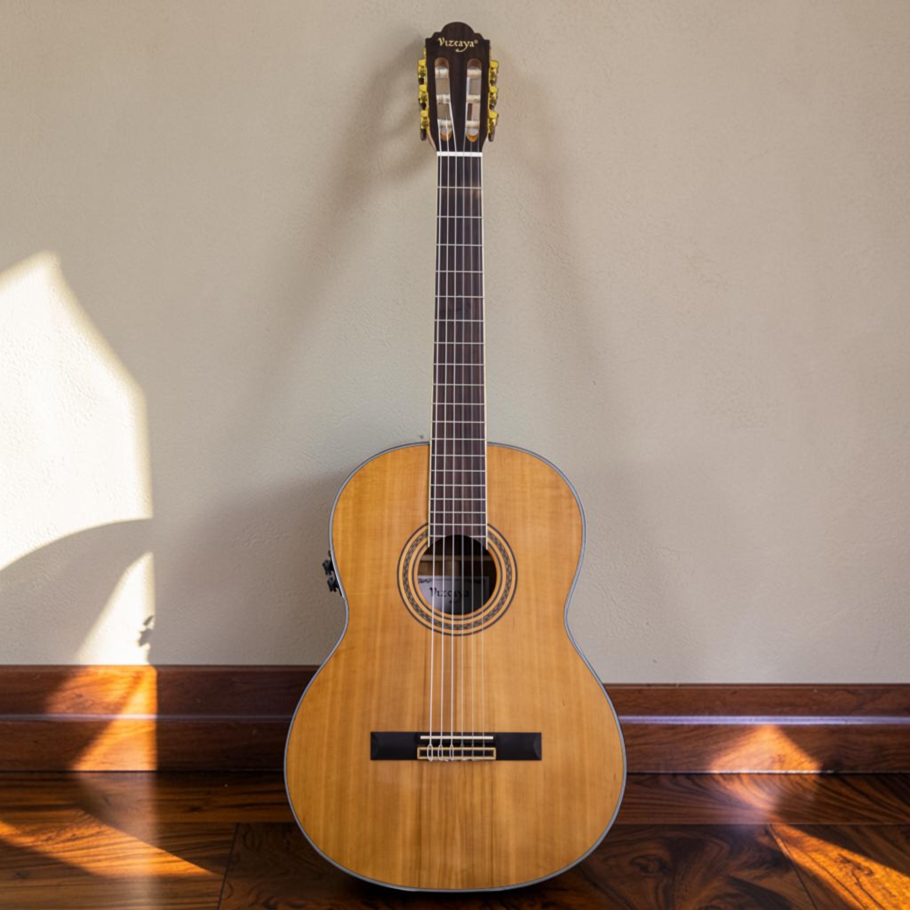 Guitarra Vizcaya Arrieta EQ