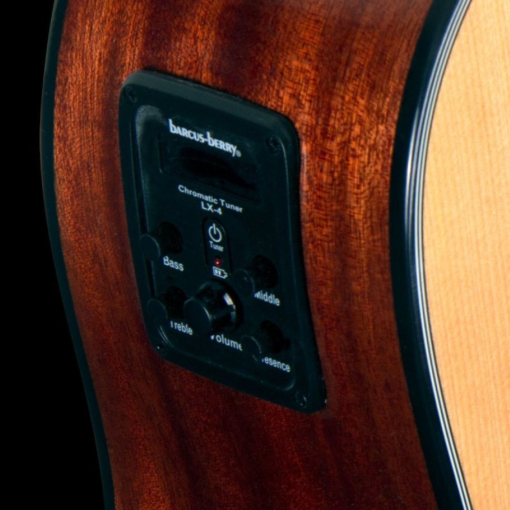 Electrónica Integrada Washburn