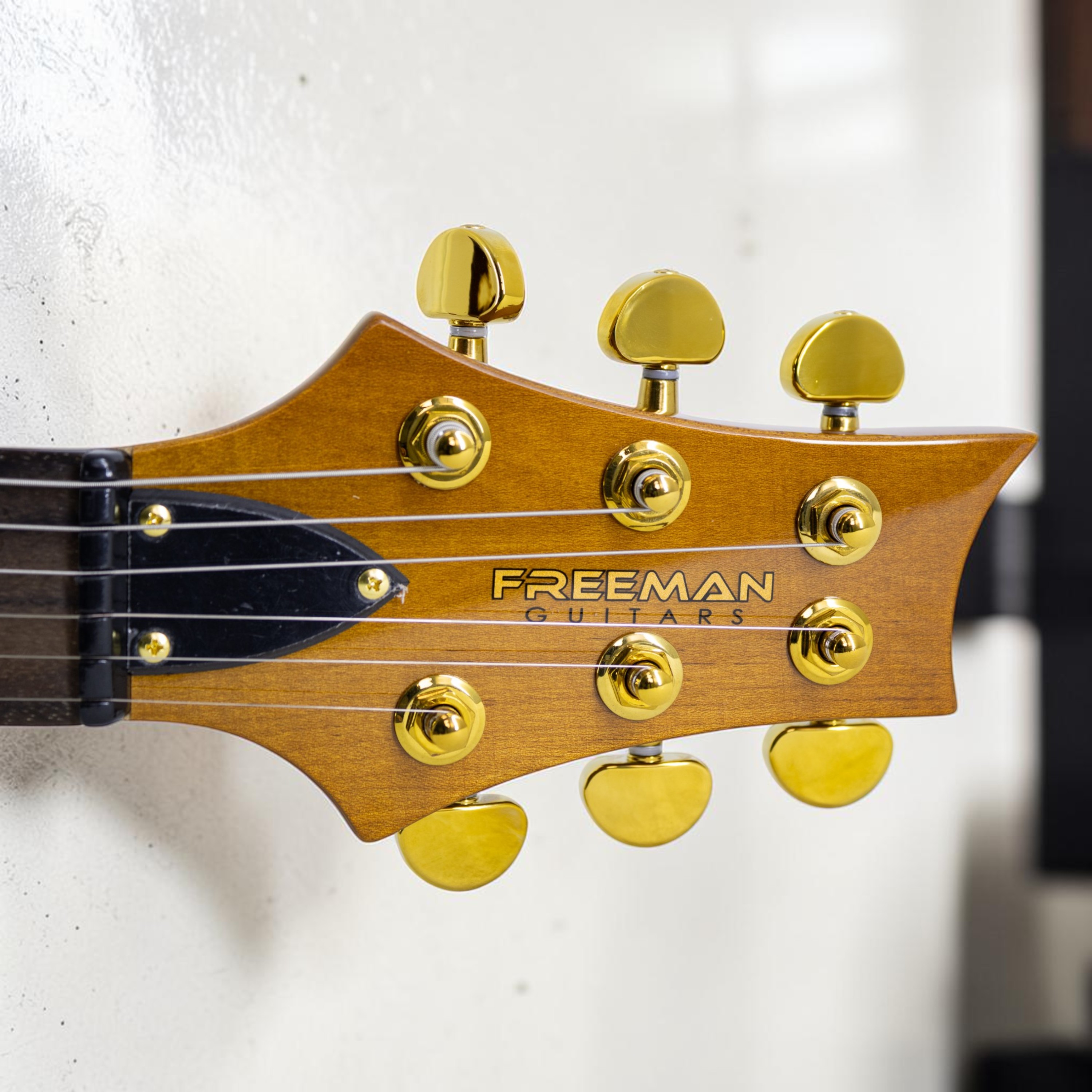 Clavijero Freeman FD-Sky
